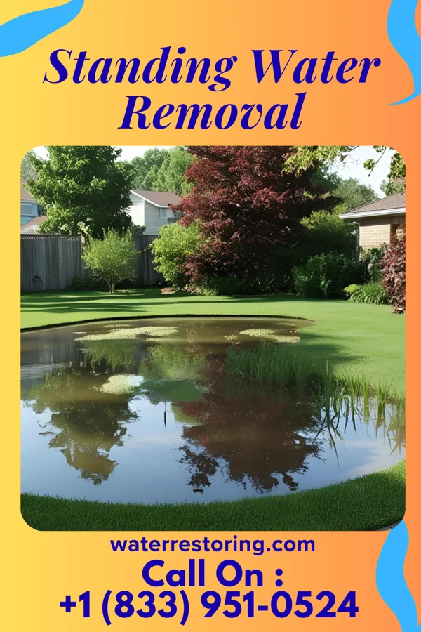 Standing Water Removal in Hueytown, AL